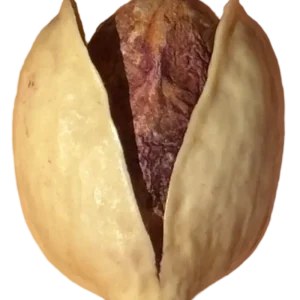 پسته کله ‌قوچی