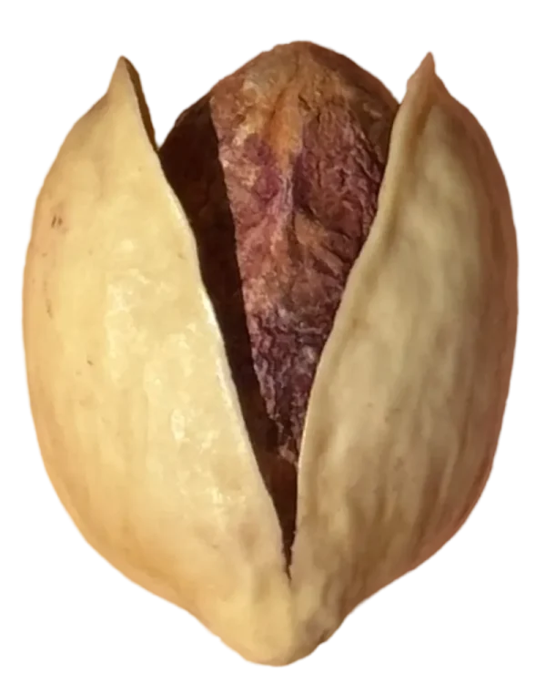 پسته کله ‌قوچی
