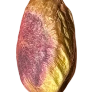 مغز پسته گرد