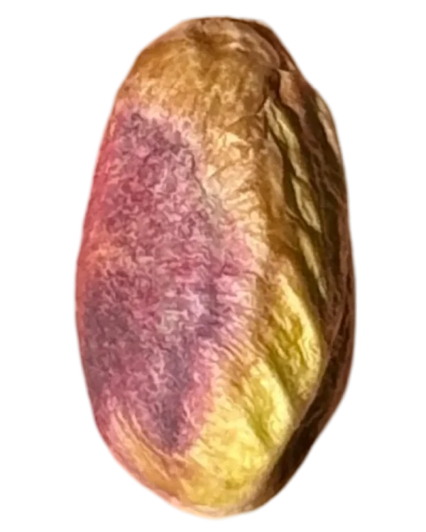 معرفی مغز پسته گرد (Round Kernel Pistachio)